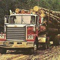 Bruce Meadows Photo 12