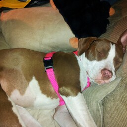 Jeffrey Griffiths Photo 14