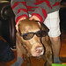 Mitchell Tanner Photo 20