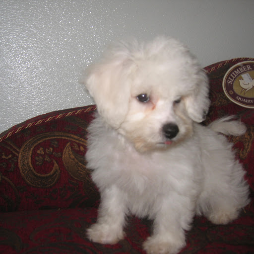 John Hodgson Photo 31