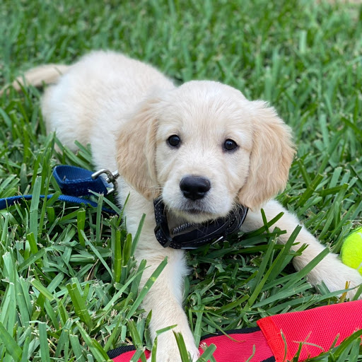 Nicholas Price Photo 9 Nicholas Price Photo 9