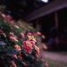 Carl Glover Photo 8