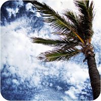 Charles Russo Photo 50 Charles Russo Photo 50