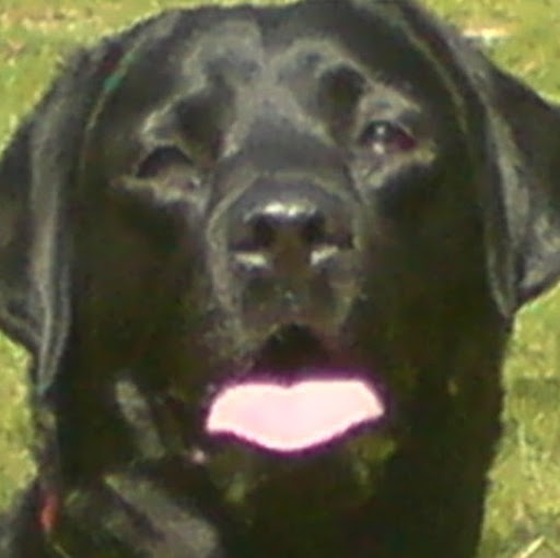 Phyllis Ross Photo 13