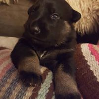 Julie Burkett Photo 20