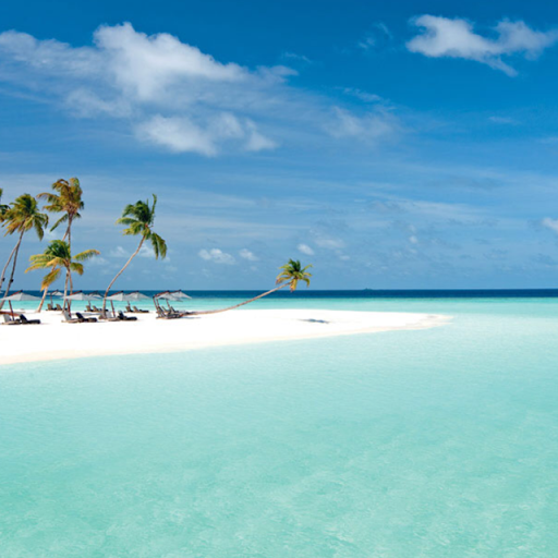 Jonathan Fisher Photo 60