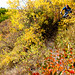 Reuben Chase Photo 6