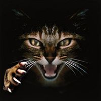 Allen Walter Photo 6