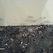 Joyce Bowen Photo 16