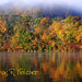 Virginia Lake Photo 15