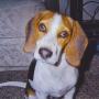 Katie Rudd Photo 18