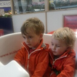 Cynthia Ball Photo 15 Cynthia Ball Photo 15