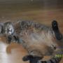 Julie Fortin Photo 5