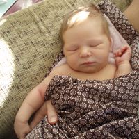 Jeffrey Daugherty Photo 8