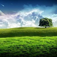 Cassandra Mcknight Photo 29