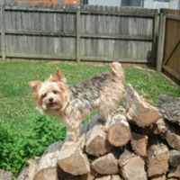 Sharon Holt Photo 45
