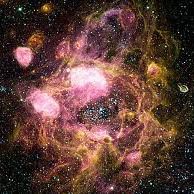 Sherrie Wheeler Photo 19