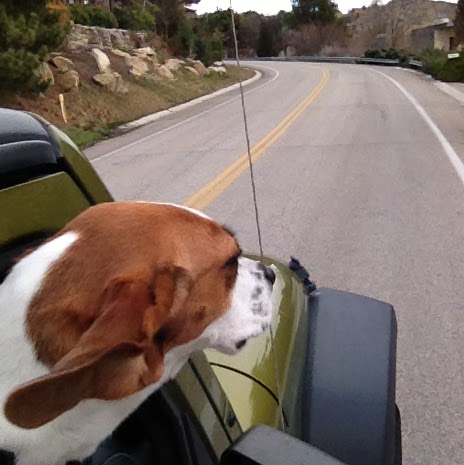 Joseph Falzone Photo 5