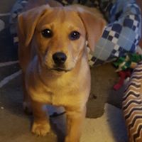 Kathleen Gillespie Photo 19 Kathleen Gillespie Photo 19