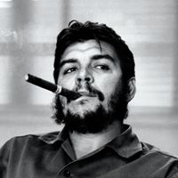 Robert Barry Photo 19