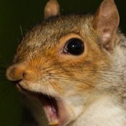 Chris Goode Photo 29