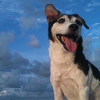 Steven Tanner Photo 21