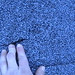 Jodi Roof Photo 10