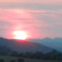 Teresa Tocco Photo 5