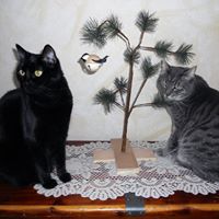 Teresa Schulz Photo 31