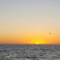 Jeffrey Garrett Photo 44