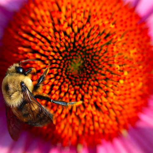 Sharon Wolf Photo 10