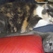 Pauline Gray Photo 27