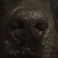 Michael Seely Photo 12