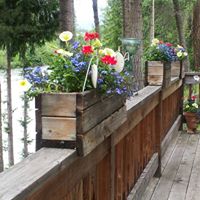 Kathleen Gibbs Photo 15