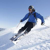 David Rosenthal Photo 49