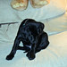 Elizabeth Boyer Photo 48