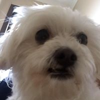 Jay Jennings Photo 35