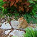 Kimberly Stone Photo 14