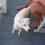Deborah Byrd Photo 17