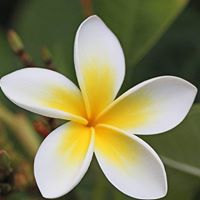 Marsha Fountain Photo 8