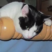 Theresa Speer Photo 18