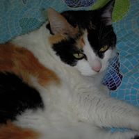 Cheryl Neely Photo 8