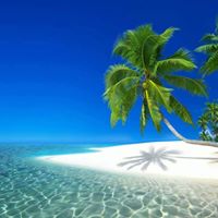 Janet Street Photo 15