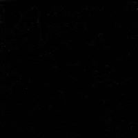 Warren Watts Photo 13