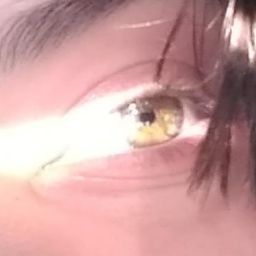 Julian Colon Photo 14