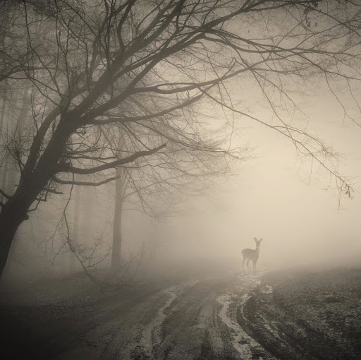 Katherine Du Photo 9