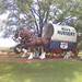 Jim Hipp Photo 18
