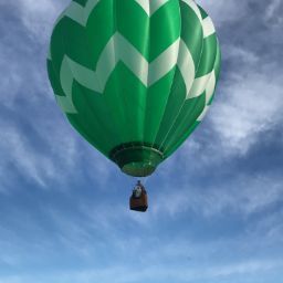 Dave Sheldon Photo 41