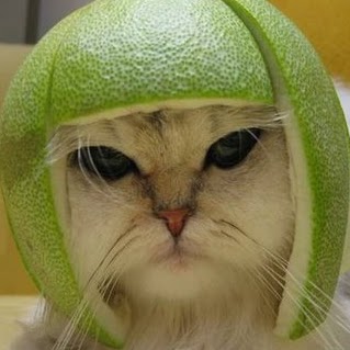 Lorraine Gibbs Photo 19