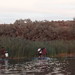 Beverly Trout Photo 25